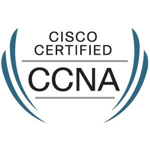 Entry Cisco Networking Cert Work In Progress